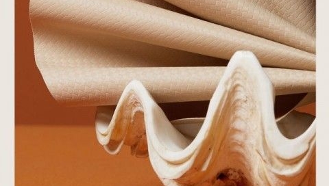 ¿Sabías que…? Especial 125 años Sauleda – Edición 9 ¿Sabías que…? Especial 125 años Sauleda – Edición 9