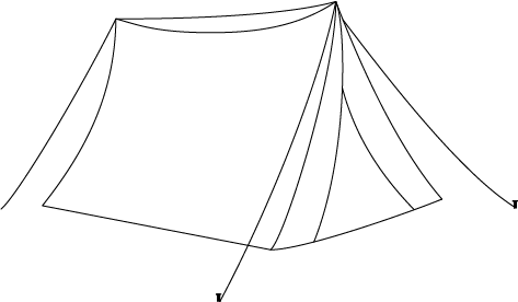 Recurso 37