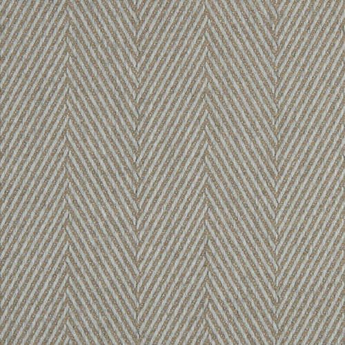 AGORA ESQUIRE FOSSIL