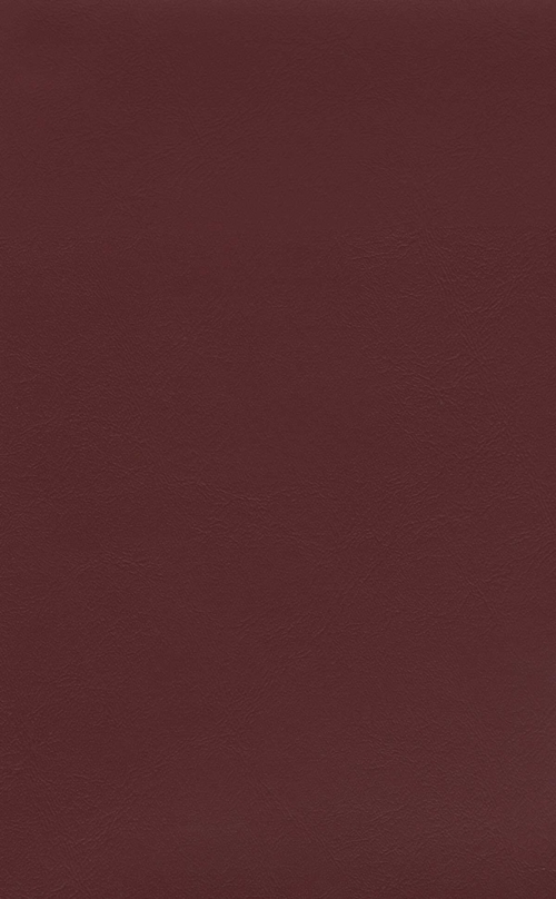 SAULEDA SEA SKIN GRANATE