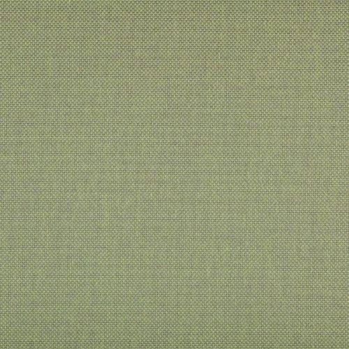 AGORA PANAMA GREEN