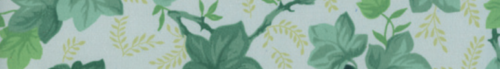 SAULEDA EST. PARADIS VERDE