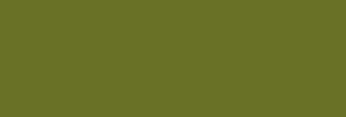 SAULEDA LEMANS VERDE CAQUI