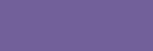 SAULEDA VIP-FR VIOLETA RAL 4005