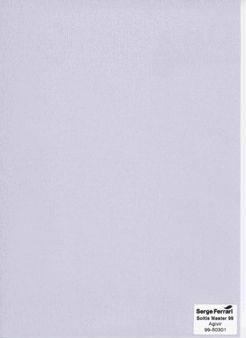 SOLTIS MASTER 99-50301 ESPUMA AGIVIR