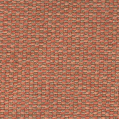 BRUMA CORAL