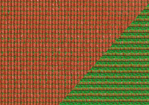 COM. DUAL CITRUS ORANGE/BRIGHT GREEN