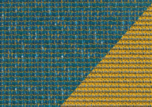 COM.DUAL MACAW AQUATIC BLUE/YELLOW