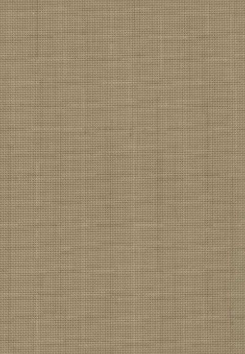 SAULEDA SCREEN 50 BEIGE