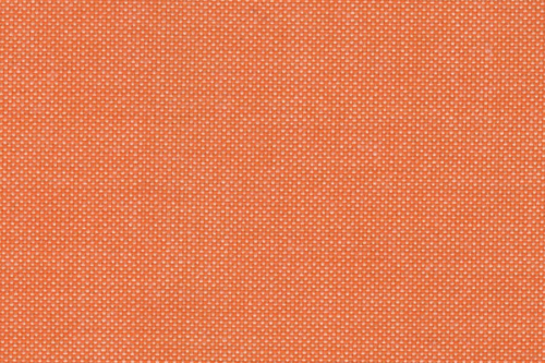 SAULEDA TEXPERT-FR SALMON