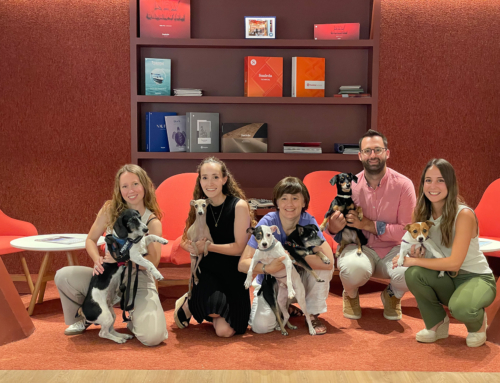 INTERNATIONALER TAG DES HUNDES