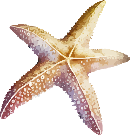 sea star